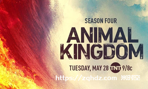 美剧《野兽家族/Animal Kingdom》全5季视频合集