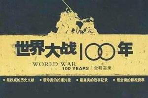 百度网盘下载世界大战100年全程实录视频资料17GB电影