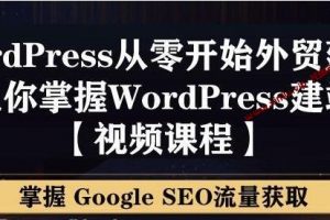 WordPress从零开始搭建外贸网站-让你掌握GoogleSEO流量获取-视频百度云网盘下载