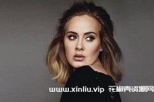 《阿黛尔Adele歌曲合集26张专辑》[FLAC/WAV/M4A/MP3]音乐百度云网盘下载