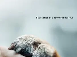 纪录片《爱犬情深/Dogs》全集4K超高清电影视频合集英语中字在线看[MP4/67.1GB]云网盘下载